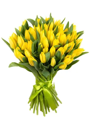 Букет из 41 желтых тюльпанов. Купить цветы.