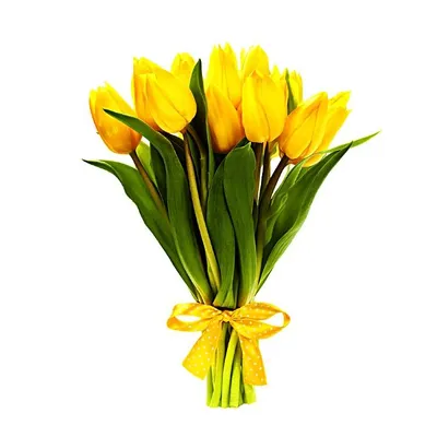 Букет из 39 желтых тюльпанов купить в Твери по цене 4680 рублей | Камелия