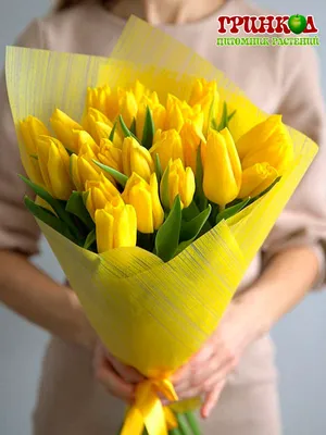Желтые тюльпаны #Букет #тюльпаны #композиция #натюрморт | Beautiful  flowers, Tulips flowers, Flower pictures