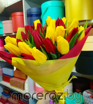 Букет 17 желтых тюльпанов - купить с доставкой по Киеву - лучшие цены на Букет  тюльпанов в интернет магазине доставки цветов STUDIO Flores
