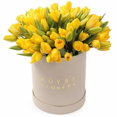 Букет желтых и фиолетовых тюльпанов купить по цене 5650 рублей в Хабаровске  — интернет магазин Shop Flower.