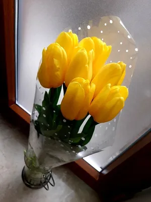 Букет из 45 красно-желтых тюльпанов. Купить цветы.