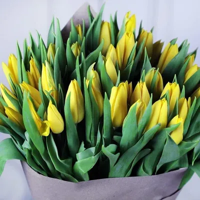 Купить букет 49 желтых тюльпанов в Москве - 5 192 руб. | Заказать с  доставкой на дом
