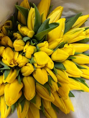 Букет желтых и фиолетовых пионовидных тюльпанов (101 тюльпан) — BoxToYou.Ru