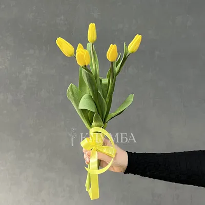 Букет 51 желтый тюльпан в бумаге (30-40см) купить с доставкой в СПб