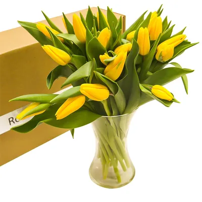 Желтые тюльпаны букет фото фотографии