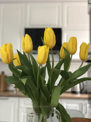 Купить Желтые тюльпаны в Москве, заказать Желтые тюльпаны - недорогая  доставка цветов из интернет магазина!