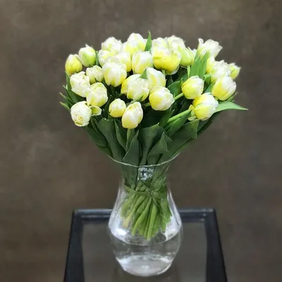 Букет 15 желтых тюльпанов 10 ирисов в упаковке с бесплатной доставкой в  Барнауле | Купить тюльпаны недорого