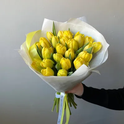 Купить Тюльпаны бело-желтые в Москве, заказать Тюльпаны бело-желтые -  недорогая доставка цветов из интернет магазина!