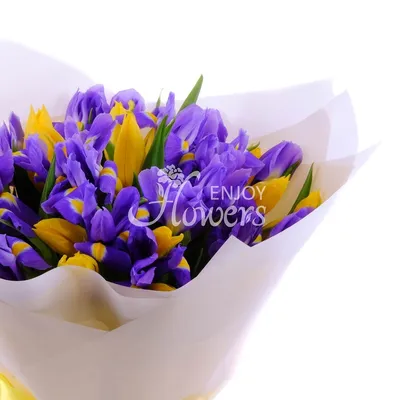 Тюльпаны с Ирисами - Доставкой цветов в Москве! 9262 товаров! Цены от 487  руб. Цветы Тут