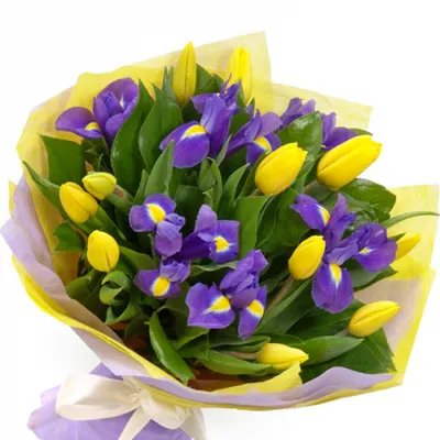 Фиолетовые ирисы и желтые тюльпаны: идеальное цветовое сочетание | Желтые  тюльпаны, Фиолетовые букеты, Ирисы