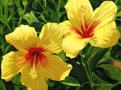 File:Hibiscus-Yellow.jpg - Wikipedia