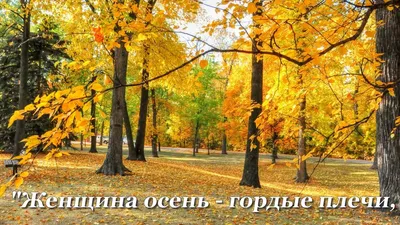 Девушка осень обои для рабочего стола, картинки и фото - RabStol.net