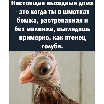про мужчин и женщин юмор / смешные картинки и другие приколы: комиксы, гиф  анимация, видео, лучший интеллектуальный юмор.