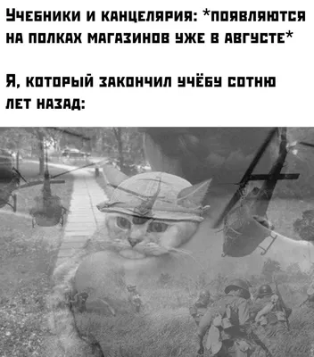 Женский юмор - Зона красоты | Женский юмор, Красота, Женщина