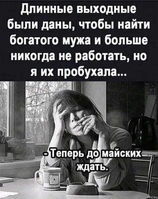 анекдоты: 5 тыс изображений найдено в Яндекс.Картинках | Юмористические  цитаты, Женский юмор, Спортзал