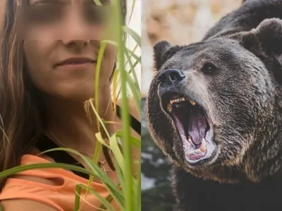Фото жизни и смерти в мире медведей на Камчатке - png и jpg для скачивания