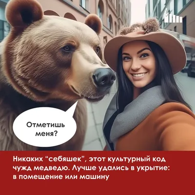 Фото с атаками медведей на Камчатке - скачать в любом формате бесплатно
