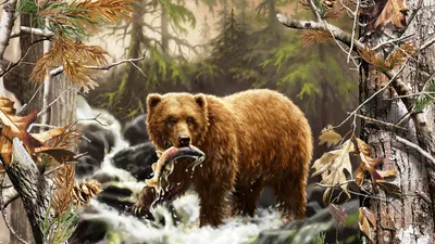 Потрясающие фото жертв нападений медведей на Камчатке - скачивайте бесплатно