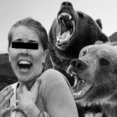 Хорошая камера, опасный медведь: фотографии жертв нападений на Камчатке