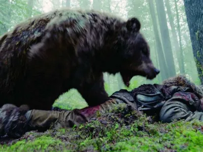 Изображения медведей, агрессивно нападающих на людей