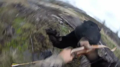 Уникальные снимки жертв медвежьих нападений