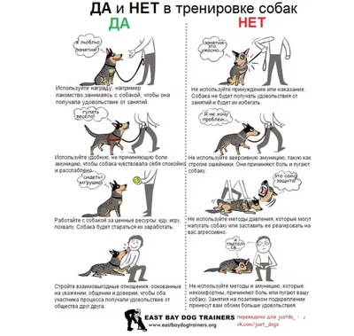 Жесты дрессировки собак (69 фото) - картинки sobakovod.club
