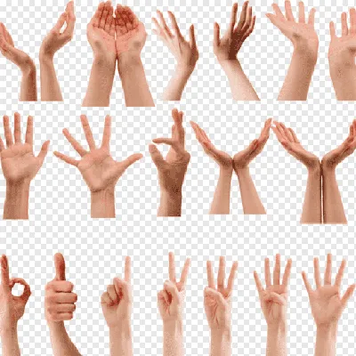 Объяснение на пальцах: что означают самые известные жесты в разных странах  мира