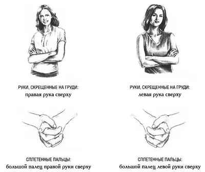 Язык жестов при общении. Значение... - Украинская Школа СПА | Facebook