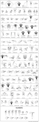 ✊и👊: руководство по правильному использованию эмодзи рук и жестов