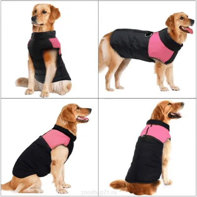 Жилетка для собак «Актив», черно-синий, одежда для собак средних, крупных  пород (ID#1481389867), цена: 550 ₴, купить на Prom.ua