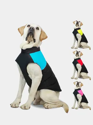 Спасательный жилет для собак HOOPET размер M зеленый - купить с доставкой  по выгодным ценам в интернет-магазине OZON (279865210)