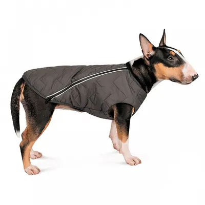 Купить утеплённую куртку для собак Collar WAUDOG Clothes с рисуноком  \"Бэтмен винтаж\"
