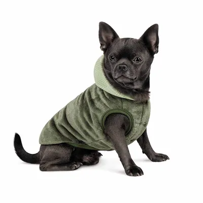 Жилет для собак Rain Dog RD05-04370148 купить по цене 2690 ₽ с доставкой в  Москве и России, отзывы, фото