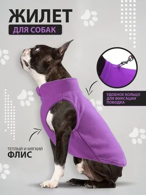 Жилет для собак и кошек, с креплением для поводка купить по цене 359.1 ₽ в  интернет-магазине KazanExpress