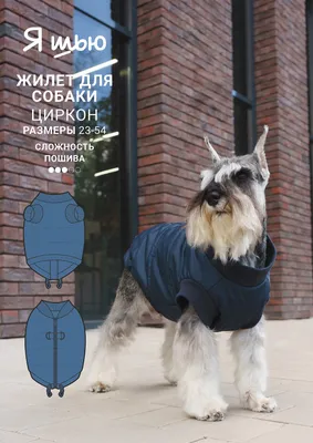 Куртка для животных, 30 см, р. M, на липучках, полиэстер, бежевая, Style  pet — купить в интернет-магазине Kuchenland Home с доставкой по Москве и  России