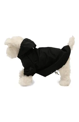 Купить Куртка для собак мелких пород \"Кубик\", черная в интернет-магазине  Zoomarket