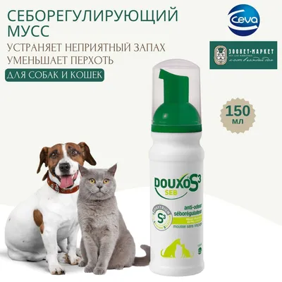 Дерматит у кошек и котов: фото, признаки и способы лечения кошачьего  дерматита
