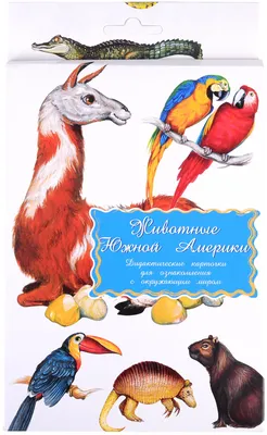 Плакат. Животные Северной Америки (550х770) — купить книги на русском языке  в Швеции на BooksInHand.se