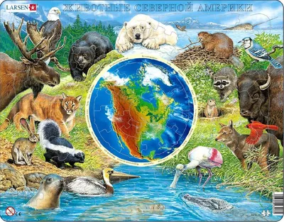 Животные Южной Америки [Сергей Владиславович Рублев] (fb2) читать онлайн |  КулЛиб электронная библиотека