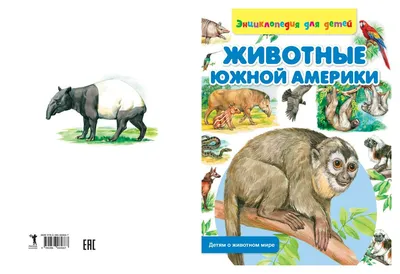 Животные Южной Америки. Купить книгу за 99 руб.