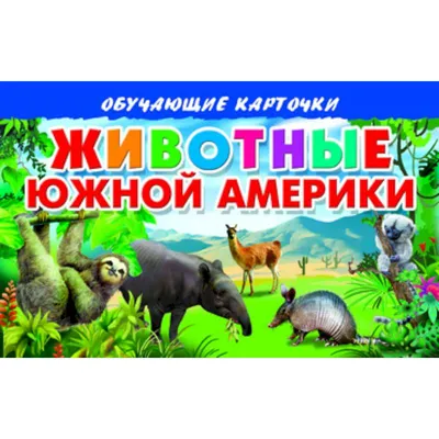 Иллюстрация 9 из 14 для Животные Южной Америки. Демонстрационный плакат  (2882) | Лабиринт - книги. Источник: Соболева