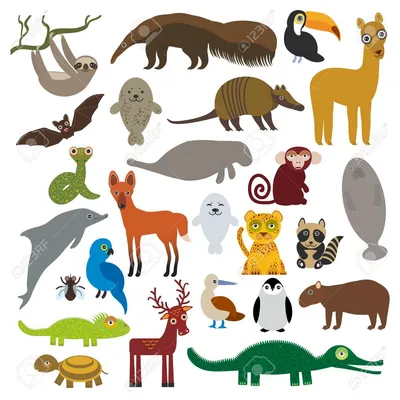 Иллюстрация Животные Южной Америки в стиле детский |