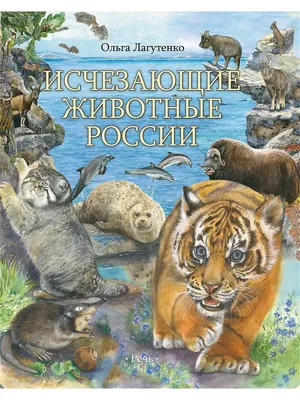 Постер А2 (лак) Дикие животные России ПД-056