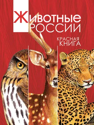 Исчезающие животные России Издательство Речь 11725402 купить в  интернет-магазине Wildberries