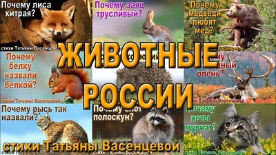 Иллюстрация 6 из 18 для Животные России. Демонстрационный плакат (2986) |  Лабиринт - книги. Источник: Юлия Батурина