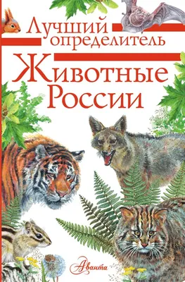 В России 11 видов животных признали вероятно исчезнувшими — РБК