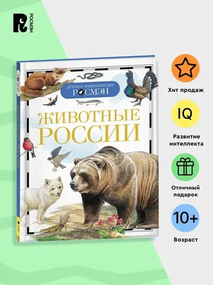 Карточки развивающие РУЗ Ко Дикие животные России Интересные факты купить  по цене 275 ₽ в интернет-магазине Детский мир