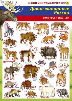 Наклейки тематические: Дикие животные России. Наклейки тематические.