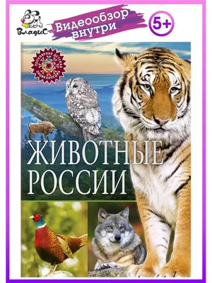 Плакат 07780-9 Животные России Проф-Пресс в Казани - купить в интернет  магазине УЕНЧЫК, выгодная цена, доставка по России